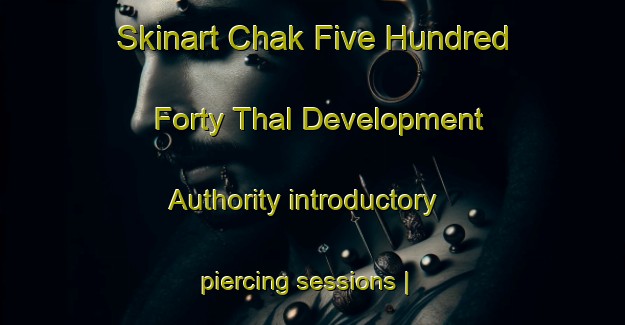 Skinart Chak Five Hundred Forty Thal Development Authority introductory piercing sessions | PiercingTraining | PiercingClasses | SkinartTraining-Pakistan